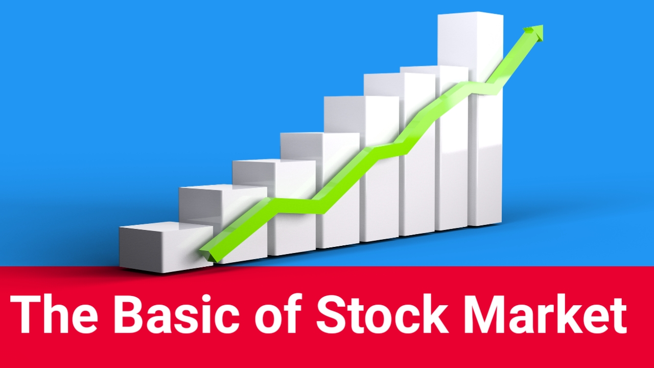 A Comprehensive Guide to the Basics of the Stock Market